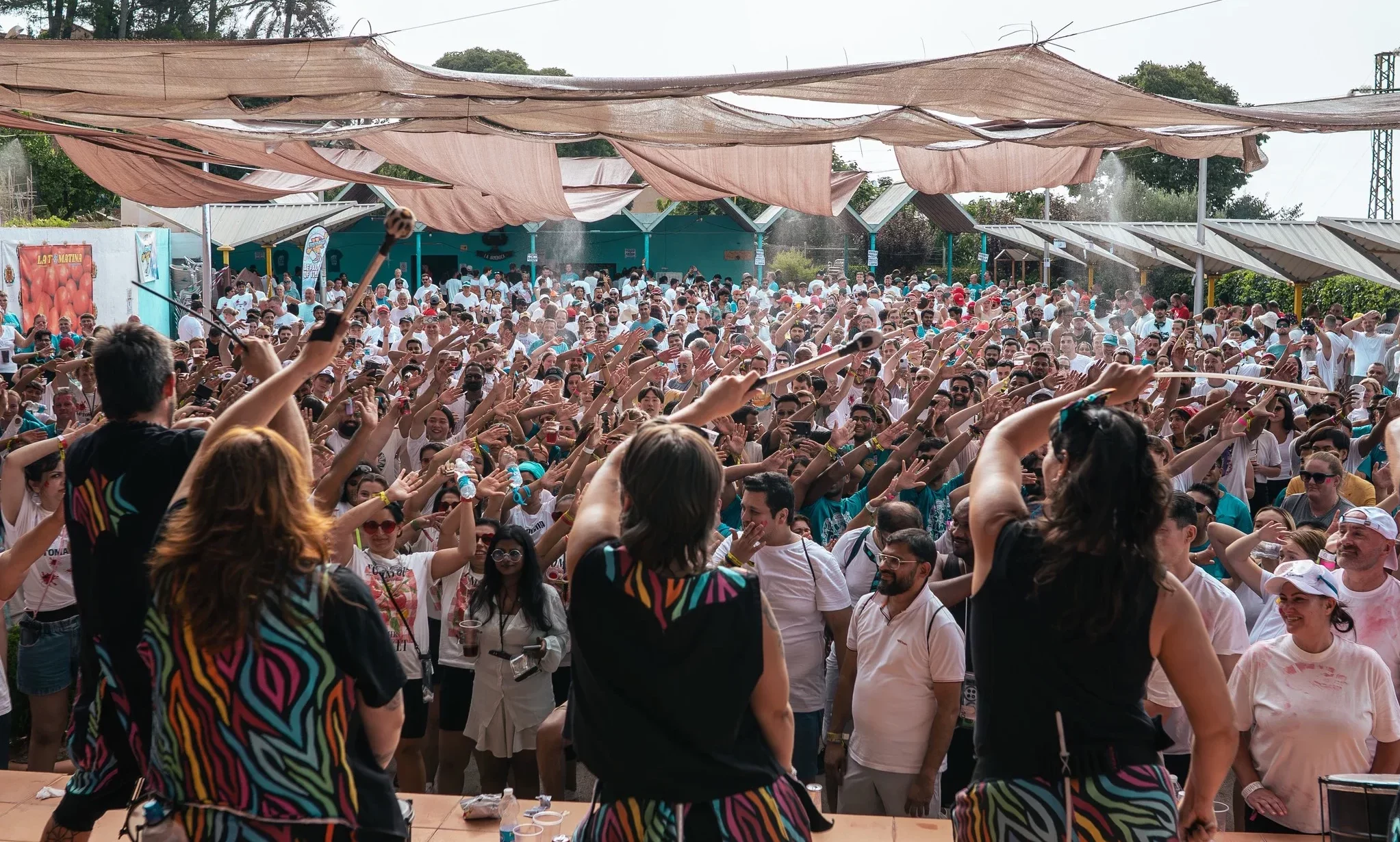 crow enjoying tomatina with Festivals all around